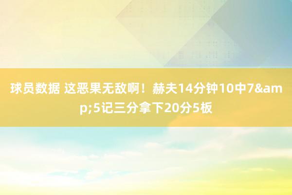 球员数据 这恶果无敌啊！赫夫14分钟10中7&5记三分拿下20分5板