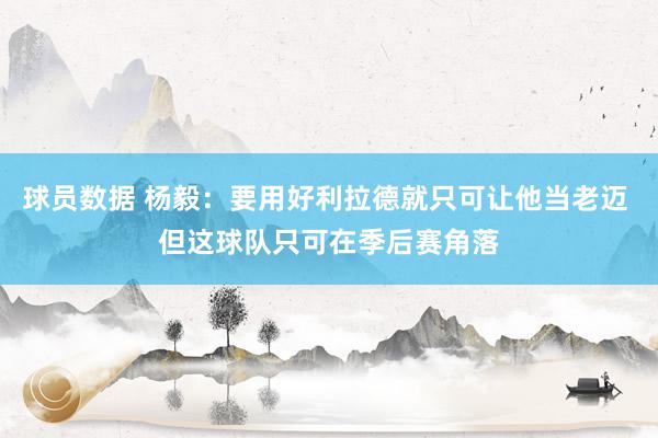 球员数据 杨毅：要用好利拉德就只可让他当老迈 但这球队只可在季后赛角落