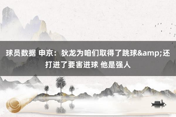 球员数据 申京：狄龙为咱们取得了跳球&还打进了要害进球 他是强人