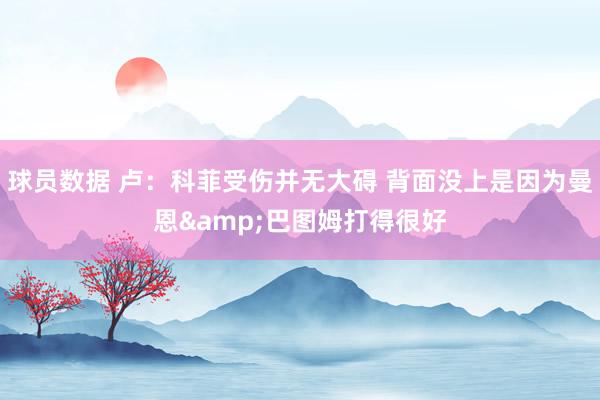 球员数据 卢：科菲受伤并无大碍 背面没上是因为曼恩&巴图姆打得很好