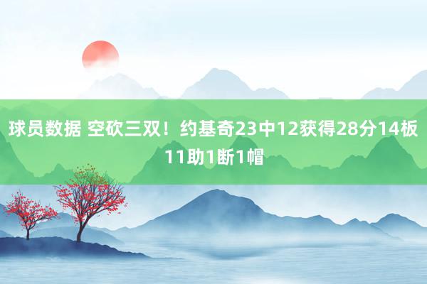 球员数据 空砍三双！约基奇23中12获得28分14板11助1断1帽