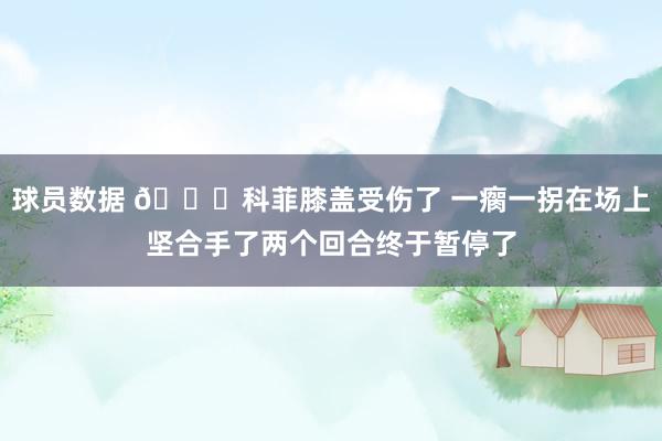 球员数据 😐科菲膝盖受伤了 一瘸一拐在场上坚合手了两个回合终于暂停了