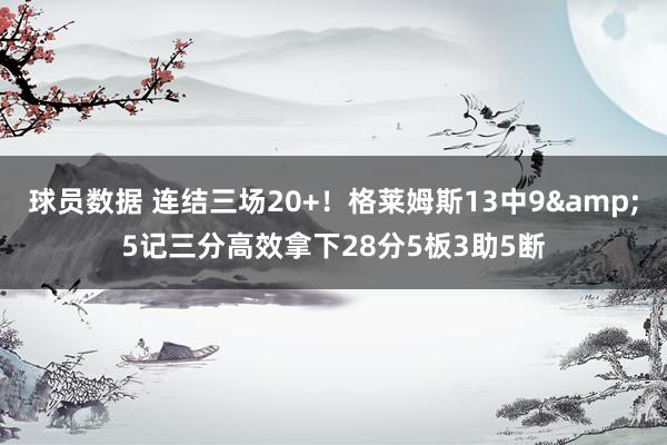 球员数据 连结三场20+！格莱姆斯13中9&5记三分高效拿下28分5板3助5断