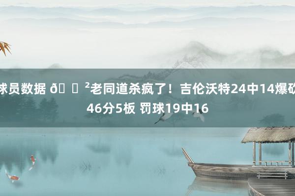 球员数据 😲老同道杀疯了！吉伦沃特24中14爆砍46分5板 罚球19中16