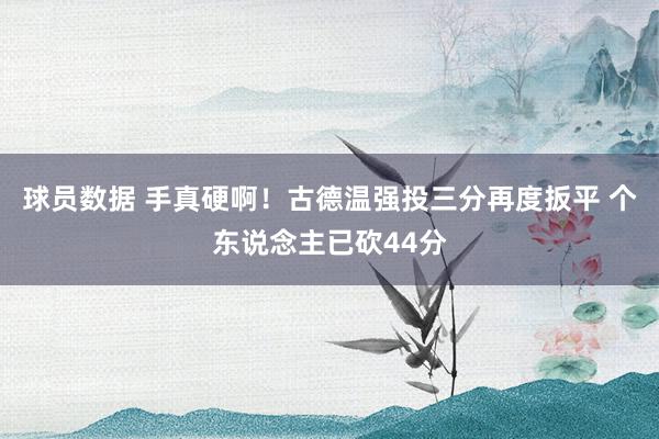 球员数据 手真硬啊！古德温强投三分再度扳平 个东说念主已砍44分