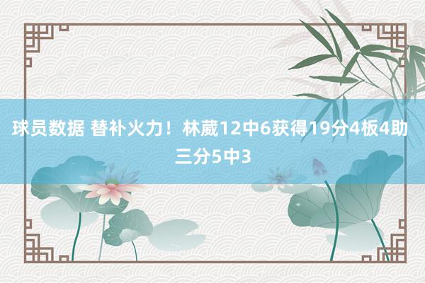 球员数据 替补火力！林葳12中6获得19分4板4助 三分5中3