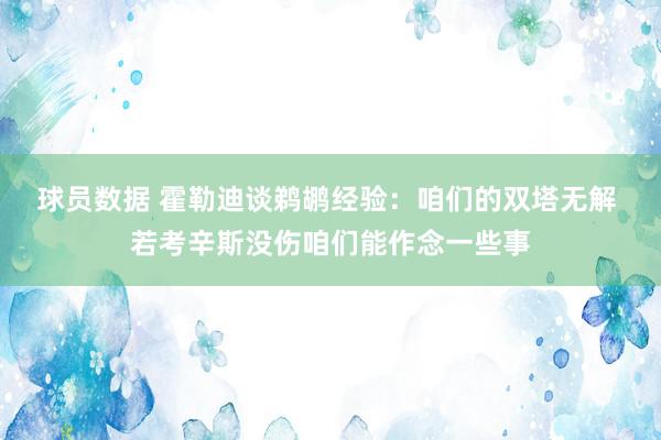 球员数据 霍勒迪谈鹈鹕经验：咱们的双塔无解 若考辛斯没伤咱们能作念一些事