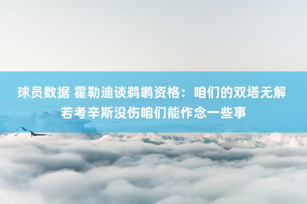 球员数据 霍勒迪谈鹈鹕资格：咱们的双塔无解 若考辛斯没伤咱们能作念一些事