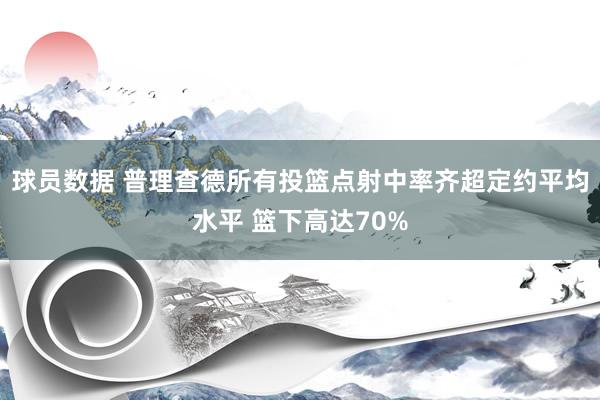 球员数据 普理查德所有投篮点射中率齐超定约平均水平 篮下高达70%