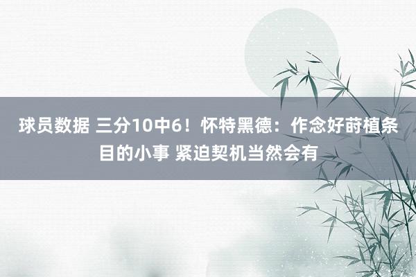 球员数据 三分10中6！怀特黑德：作念好莳植条目的小事 紧迫契机当然会有