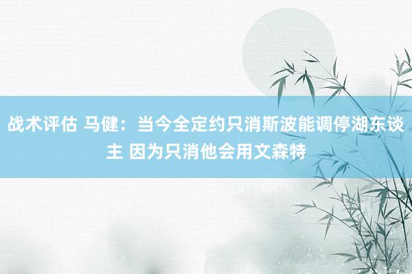 战术评估 马健：当今全定约只消斯波能调停湖东谈主 因为只消他会用文森特