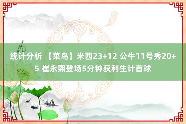 统计分析 【菜鸟】米西23+12 公牛11号秀20+5 崔永熙登场5分钟获利生计首球