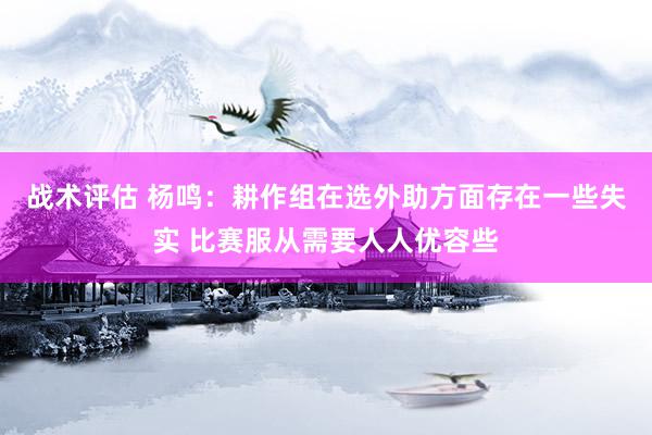 战术评估 杨鸣：耕作组在选外助方面存在一些失实 比赛服从需要人人优容些