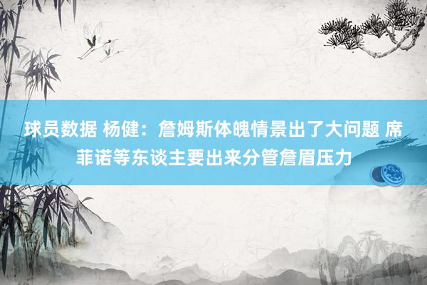 球员数据 杨健：詹姆斯体魄情景出了大问题 席菲诺等东谈主要出来分管詹眉压力