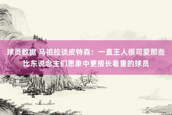 球员数据 马祖拉谈皮特森：一直王人很可爱那些比东说念主们思象中更擅长看重的球员