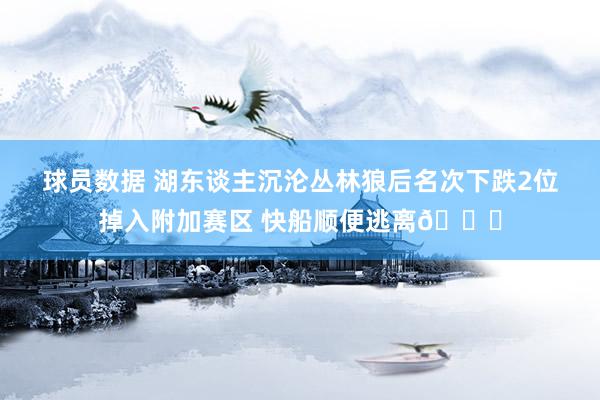 球员数据 湖东谈主沉沦丛林狼后名次下跌2位掉入附加赛区 快船顺便逃离😋