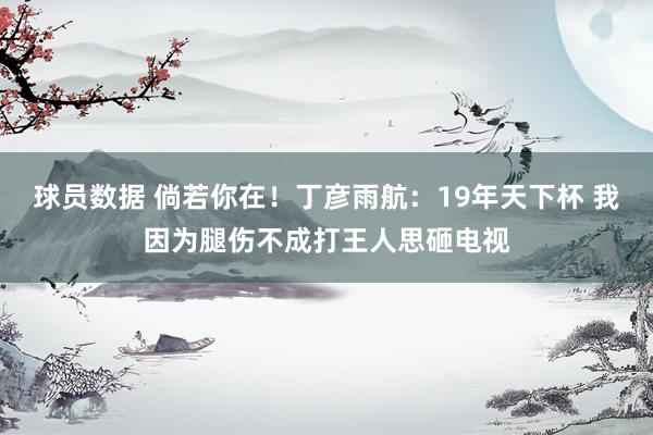 球员数据 倘若你在！丁彦雨航：19年天下杯 我因为腿伤不成打王人思砸电视