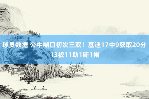 球员数据 公牛糊口初次三双！基迪17中9获取20分13板11助1断1帽