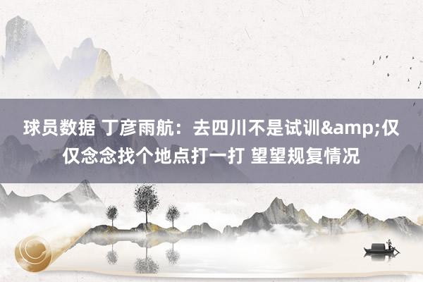 球员数据 丁彦雨航：去四川不是试训&仅仅念念找个地点打一打 望望规复情况