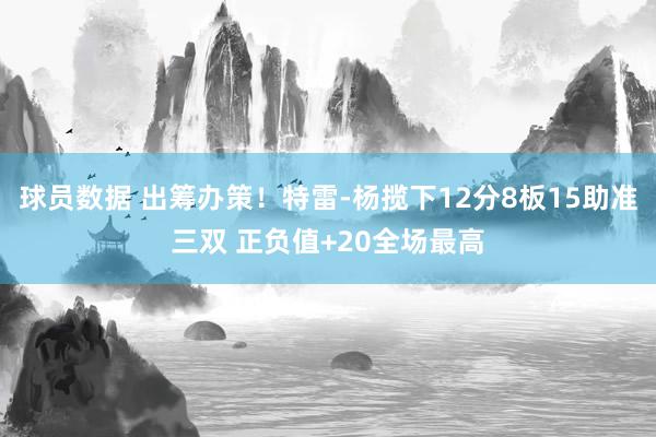 球员数据 出筹办策！特雷-杨揽下12分8板15助准三双 正负值+20全场最高