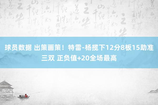 球员数据 出策画策！特雷-杨揽下12分8板15助准三双 正负值+20全场最高