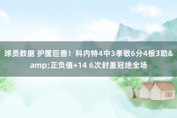 球员数据 护筐巨兽！科内特4中3孝敬6分4板3助&正负值+14 6次封盖冠绝全场