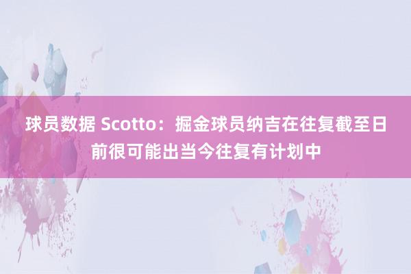 球员数据 Scotto：掘金球员纳吉在往复截至日前很可能出当今往复有计划中