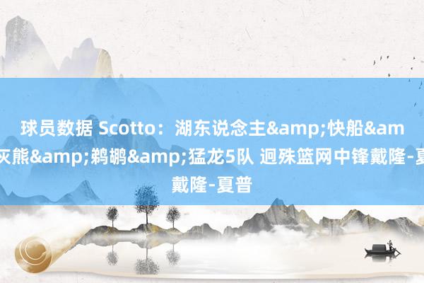 球员数据 Scotto：湖东说念主&快船&灰熊&鹈鹕&猛龙5队 迥殊篮网中锋戴隆-夏普