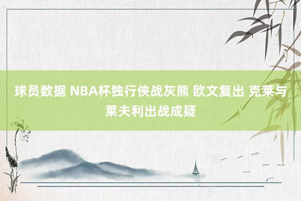 球员数据 NBA杯独行侠战灰熊 欧文复出 克莱与莱夫利出战成疑