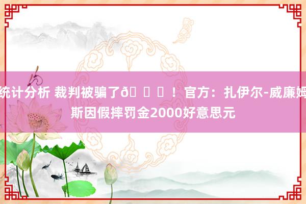 统计分析 裁判被骗了😅！官方：扎伊尔-威廉姆斯因假摔罚金2000好意思元